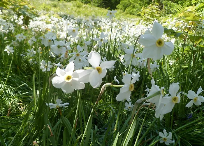 Gruenauhof 3* Grünau im Almtal